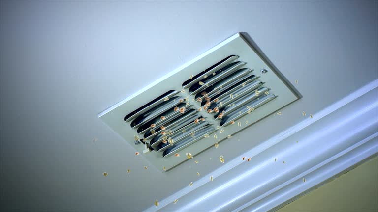 Best Air Duct Cleaning Near Me  in Swainsboro, GA