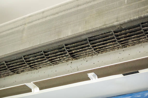 Best Professional Duct Cleaning Services  in Swainsboro, GA